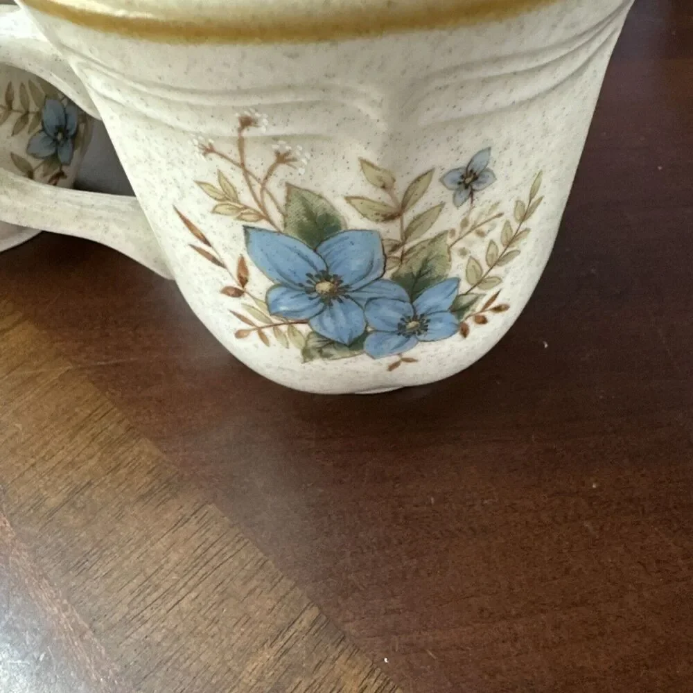 Mikasa Garden Club Day Dreams Bouquet Set of Two Mugs EC 461 Japan